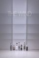 The wind picture