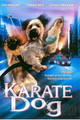 THE KARATE DOG picture